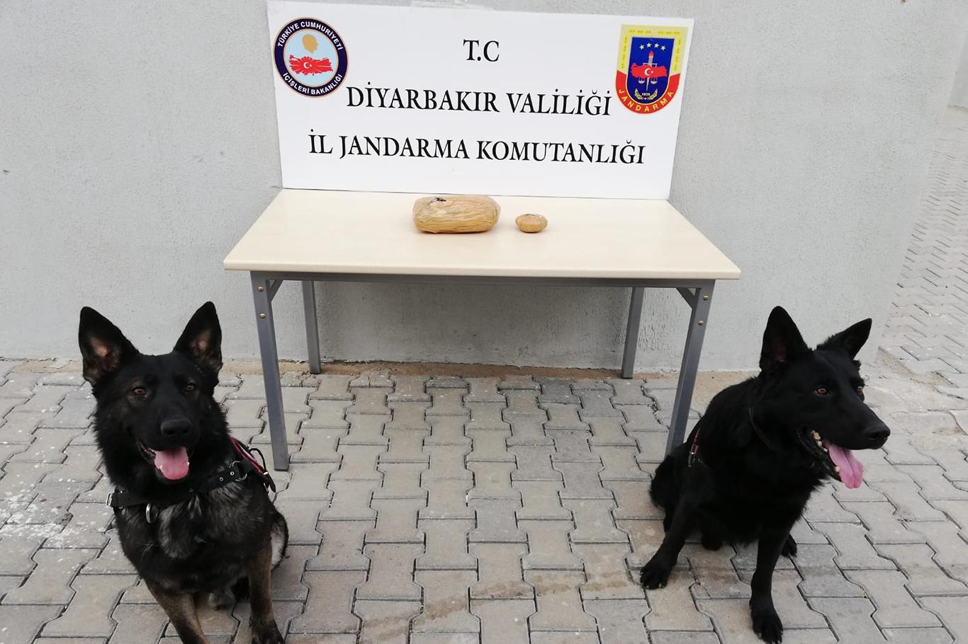 Meyve kolisi içinde uyuşturucu bulundu Meyve kolisi içinde uyuşturucu bulundu